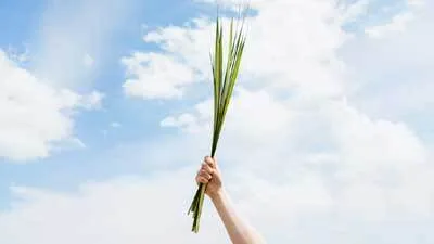 A veces, tu única tarea es estar presente