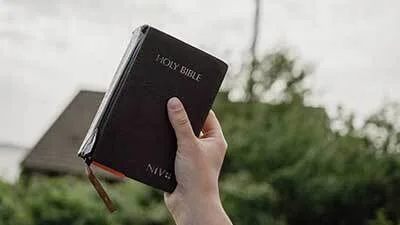 Dios lucha por ti
